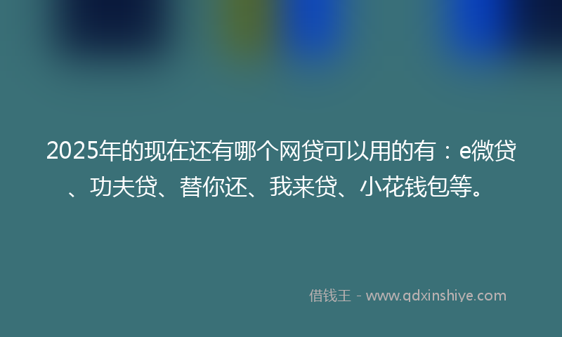 2025年的现在还有哪个网贷可以用的有：e微贷、功夫贷、替你还、我来贷、小花钱包等。