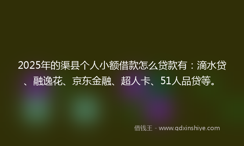 2025年的渠县个人小额借款怎么贷款有：滴水贷、融逸花、京东金融、超人卡、51人品贷等。