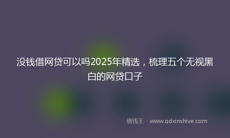 没钱借网贷可以吗2025年精选,梳理五个无视黑白的网贷口子