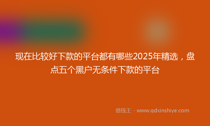 现在比较好下款的平台都有哪些2025年精选，盘点五个黑户无条件下款的平台