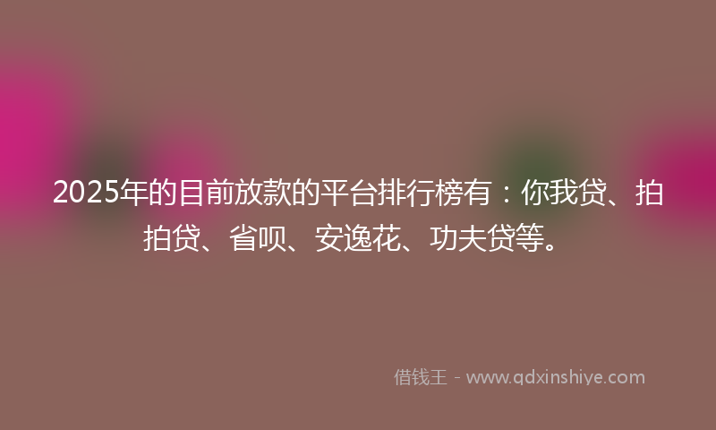 2025年的目前放款的平台排行榜有：你我贷、拍拍贷、省呗、安逸花、功夫贷等。