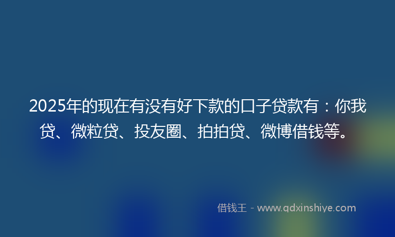 2025年的现在有没有好下款的口子贷款有：你我贷、微粒贷、投友圈、拍拍贷、微博借钱等。