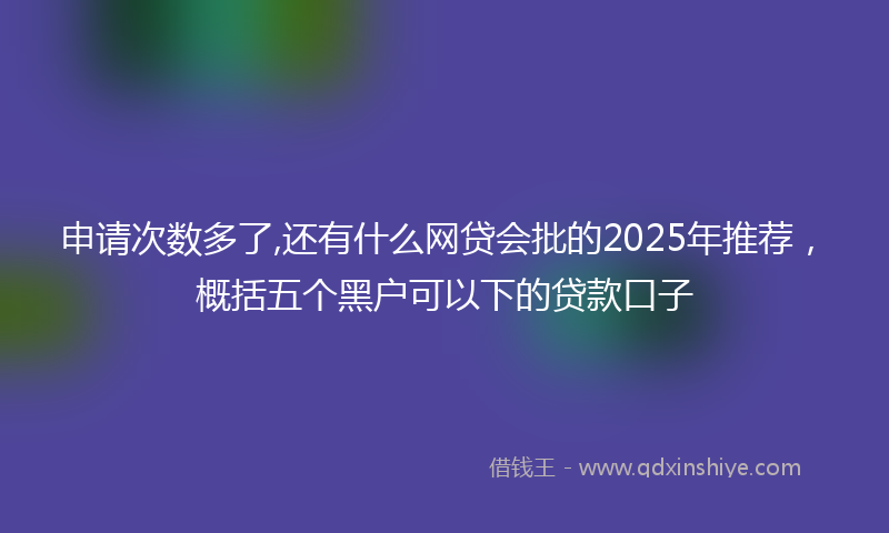 申请次数多了,还有什么网贷会批的2025年推荐，概括五个黑户可以下的贷款口子