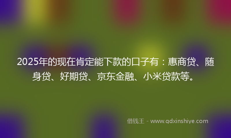 2025年的现在肯定能下款的口子有：惠商贷、随身贷、好期贷、京东金融、小米贷款等。