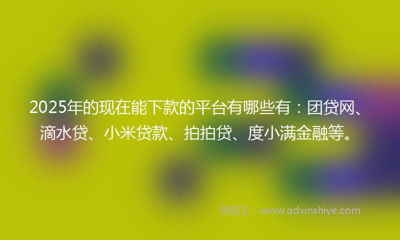 2025年的现在能下款的平台有哪些有：团贷网、滴水贷、小米贷款、拍拍贷、度小满金融等。