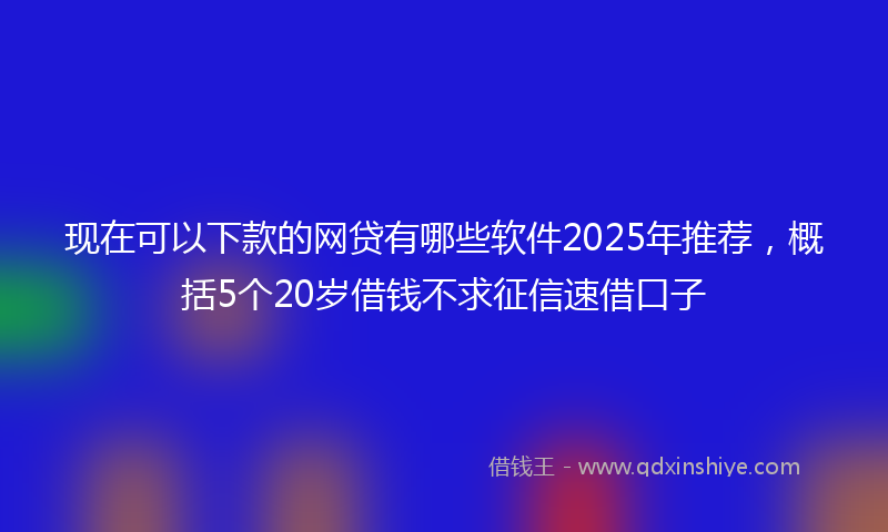 现在可以下款的网贷有哪些软件2025年推荐，概括5个20岁借钱不求征信速借口子