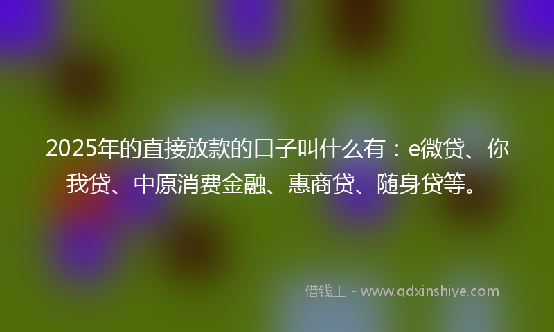 2025年的直接放款的口子叫什么有：e微贷、你我贷、中原消费金融、惠商贷、随身贷等。