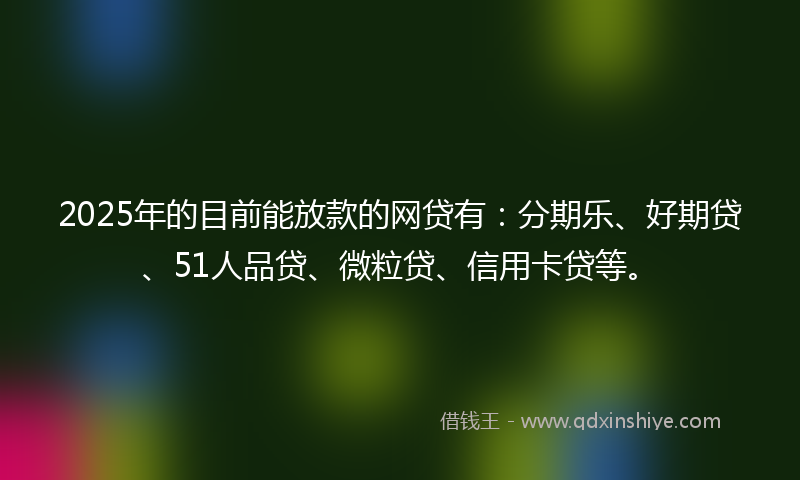 2025年的目前能放款的网贷有：分期乐、好期贷、51人品贷、微粒贷、信用卡贷等。