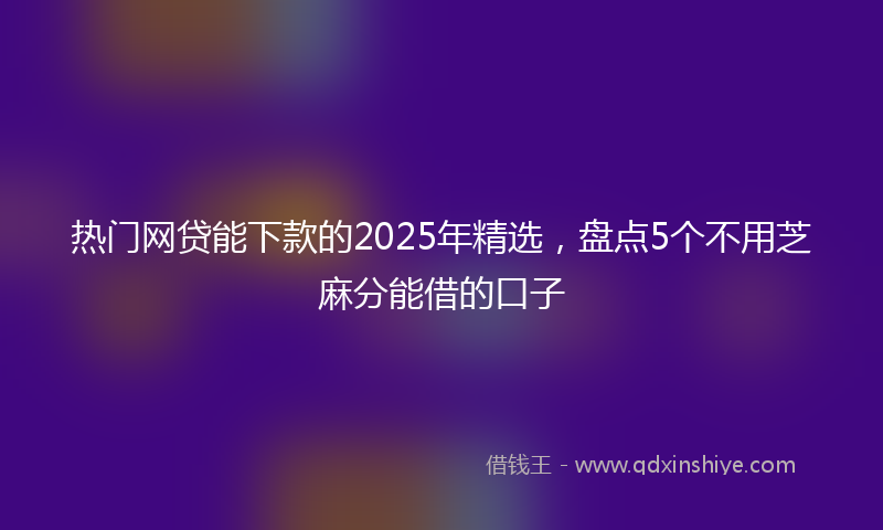 热门网贷能下款的2025年精选，盘点5个不用芝麻分能借的口子