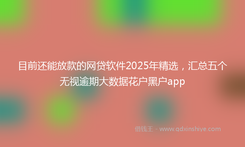 目前还能放款的网贷软件2025年精选，汇总五个无视逾期大数据花户黑户app