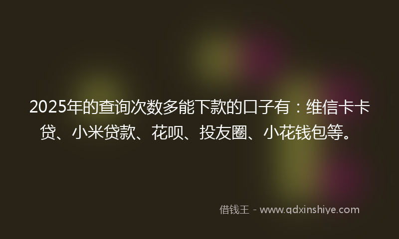 2025年的查询次数多能下款的口子有：维信卡卡贷、小米贷款、花呗、投友圈、小花钱包等。