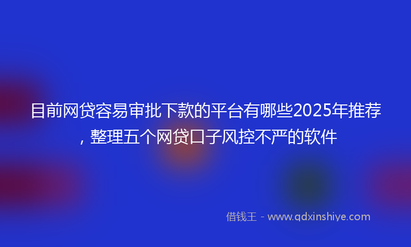 目前网贷容易审批下款的平台有哪些2025年推荐，整理五个网贷口子风控不严的软件