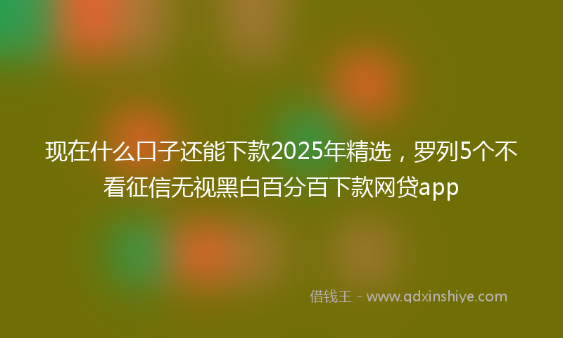 现在什么口子还能下款2025年精选，罗列5个不看征信无视黑白百分百下款网贷app