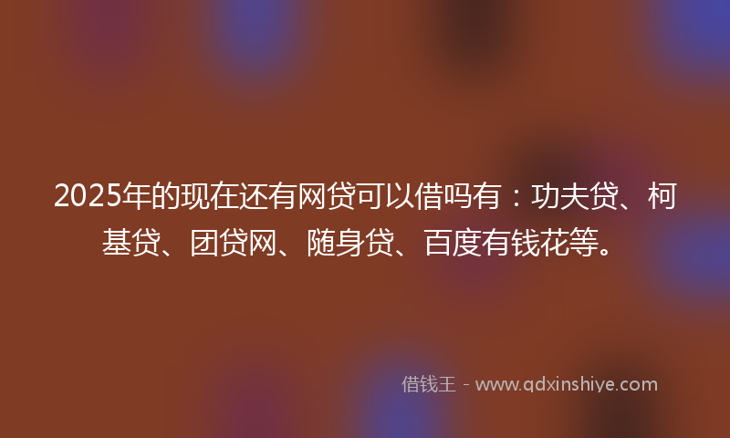 2025年的现在还有网贷可以借吗有：功夫贷、柯基贷、团贷网、随身贷、百度有钱花等。