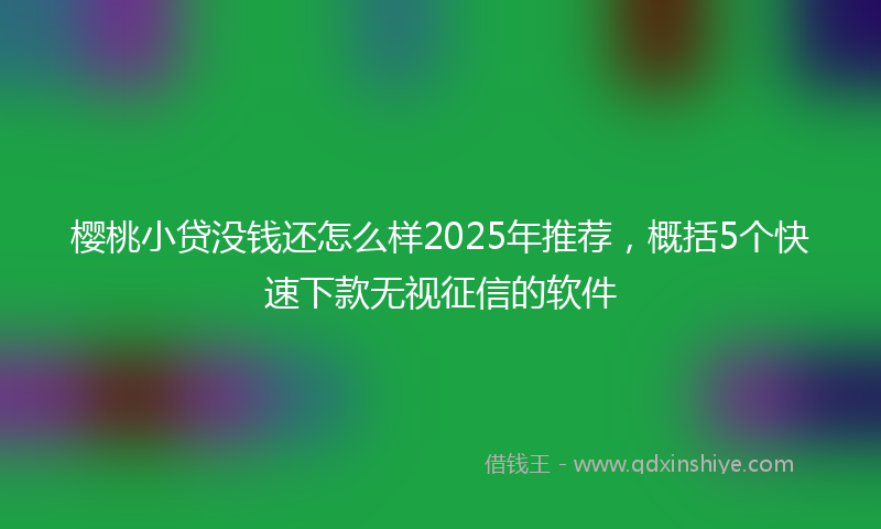 樱桃小贷没钱还怎么样2025年推荐，概括5个快速下款无视征信的软件