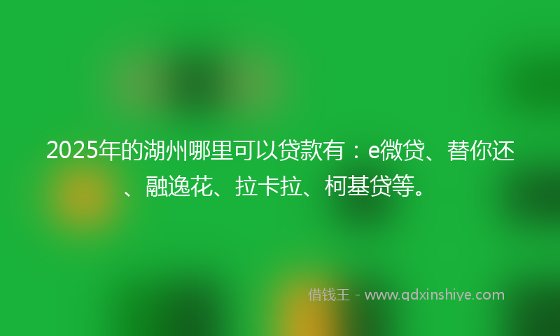 2025年的湖州哪里可以贷款有：e微贷、替你还、融逸花、拉卡拉、柯基贷等。