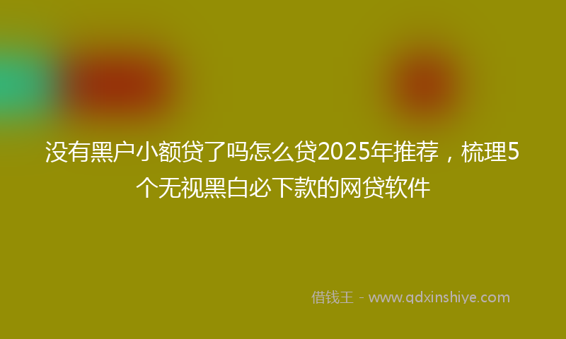没有黑户小额贷了吗怎么贷2025年推荐，梳理5个无视黑白必下款的网贷软件
