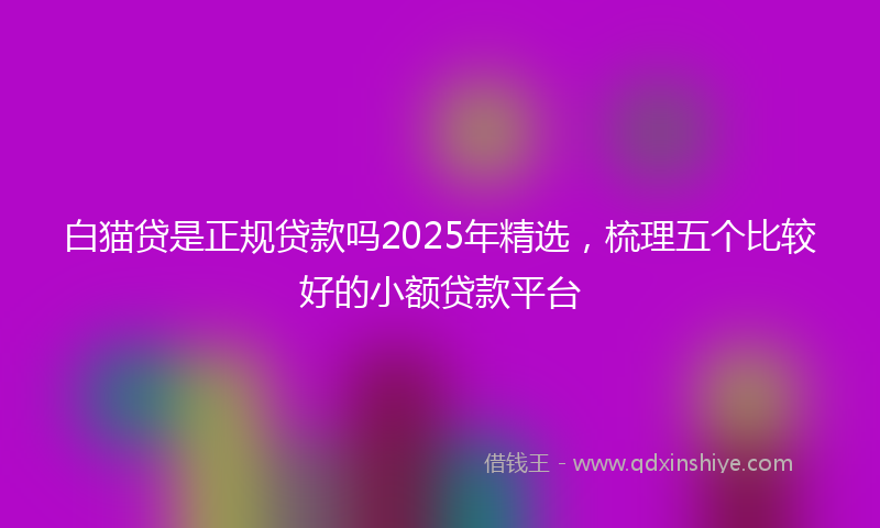 白猫贷是正规贷款吗2025年精选，梳理五个比较好的小额贷款平台