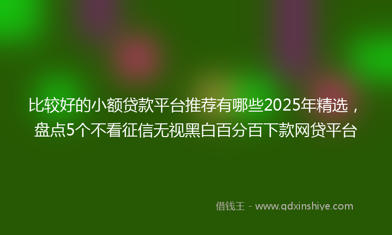 比较好的小额贷款平台推荐有哪些2025年精选，盘点5个不看征信无视黑白百分百下款网贷平台