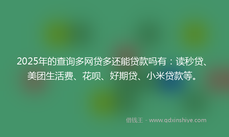2025年的查询多网贷多还能贷款吗有：读秒贷、美团生活费、花呗、好期贷、小米贷款等。
