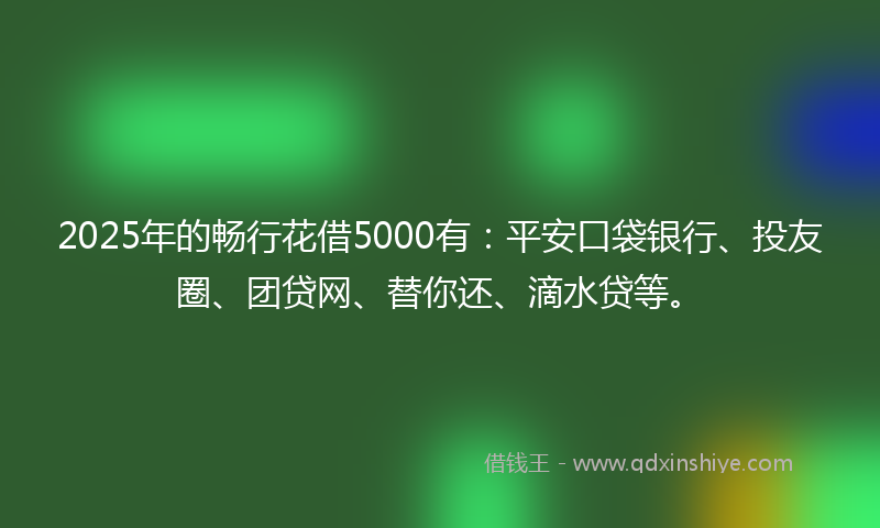 2025年的畅行花借5000有：平安口袋银行、投友圈、团贷网、替你还、滴水贷等。