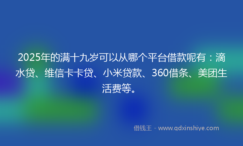 2025年的满十九岁可以从哪个平台借款呢有：滴水贷、维信卡卡贷、小米贷款、360借条、美团生活费等。
