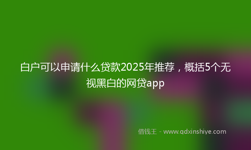 白户可以申请什么贷款2025年推荐，概括5个无视黑白的网贷app