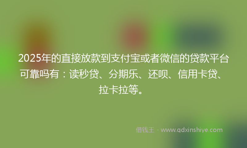2025年的直接放款到支付宝或者微信的贷款平台可靠吗有：读秒贷、分期乐、还呗、信用卡贷、拉卡拉等。