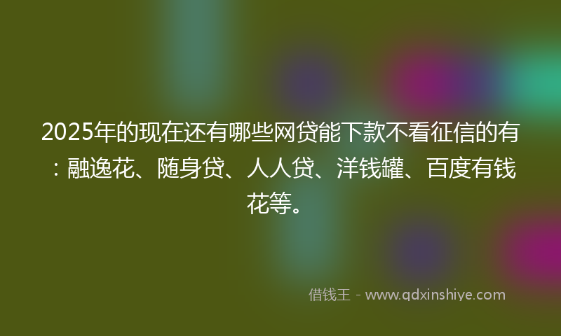 2025年的现在还有哪些网贷能下款不看征信的有:融逸花、随身贷、人人贷、洋钱罐、百度有钱花等。