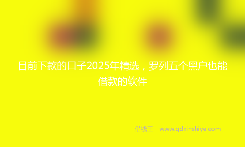 目前下款的口子2025年精选，罗列五个黑户也能借款的软件