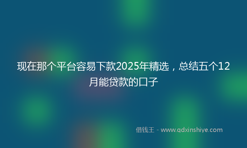 现在那个平台容易下款2025年精选,总结五个12月能贷款的口子