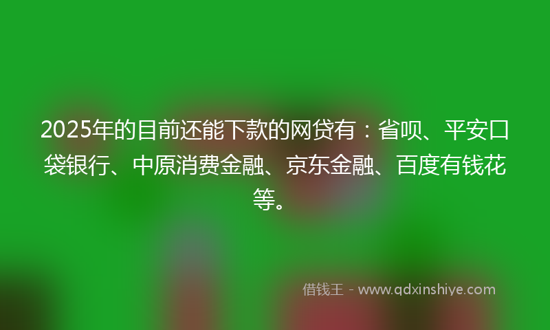 2025年的目前还能下款的网贷有：省呗、平安口袋银行、中原消费金融、京东金融、百度有钱花等。