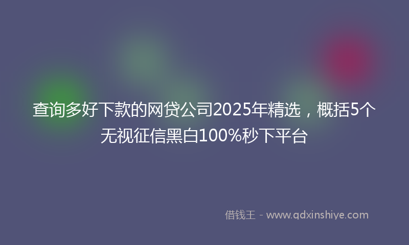 查询多好下款的网贷公司2025年精选，概括5个无视征信黑白100%秒下平台