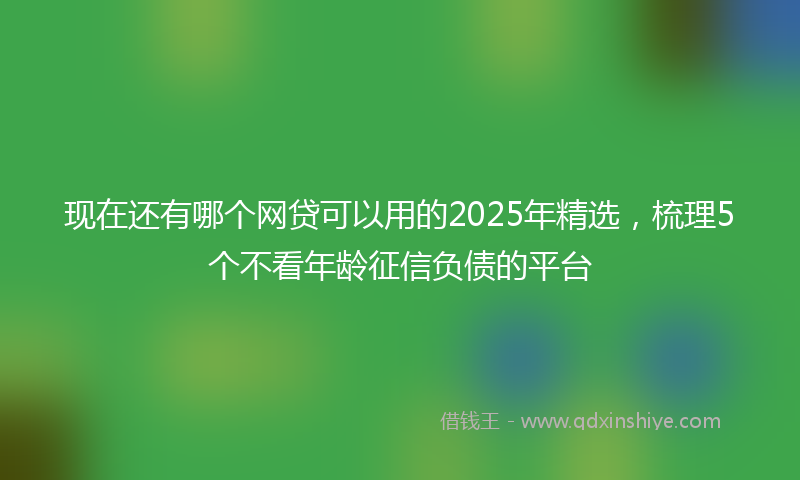 现在还有哪个网贷可以用的2025年精选，梳理5个不看年龄征信负债的平台
