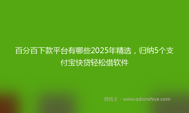 百分百下款平台有哪些2025年精选，归纳5个支付宝快贷轻松借软件