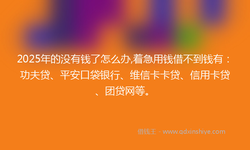 2025年的没有钱了怎么办,着急用钱借不到钱有：功夫贷、平安口袋银行、维信卡卡贷、信用卡贷、团贷网等。