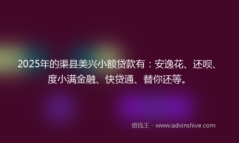 2025年的渠县美兴小额贷款有：安逸花、还呗、度小满金融、快贷通、替你还等。