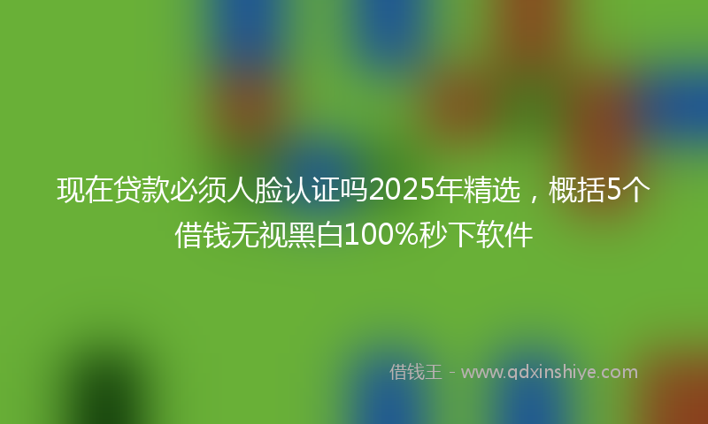 现在贷款必须人脸认证吗2025年精选，概括5个借钱无视黑白100%秒下软件