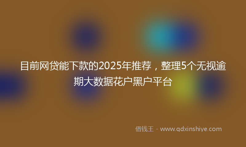 目前网贷能下款的2025年推荐，整理5个无视逾期大数据花户黑户平台