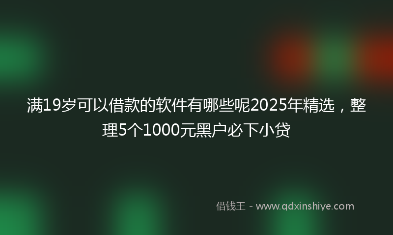 满19岁可以借款的软件有哪些呢2025年精选，整理5个1000元黑户必下小贷