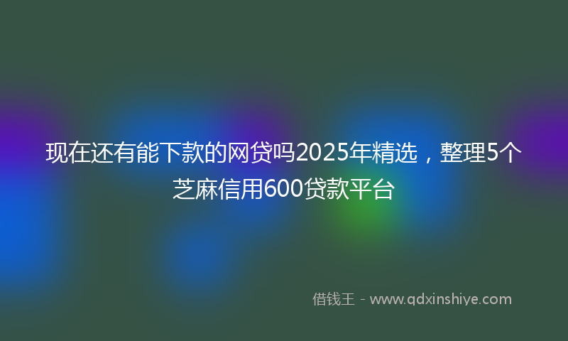 现在还有能下款的网贷吗2025年精选，整理5个芝麻信用600贷款平台