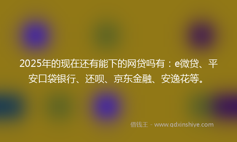 2025年的现在还有能下的网贷吗有：e微贷、平安口袋银行、还呗、京东金融、安逸花等。