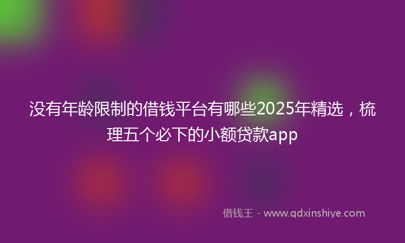 没有年龄限制的借钱平台有哪些2025年精选，梳理五个必下的小额贷款app