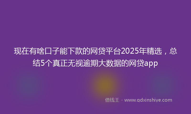 现在有啥口子能下款的网贷平台2025年精选,总结5个真正无视逾期大数据的网贷app