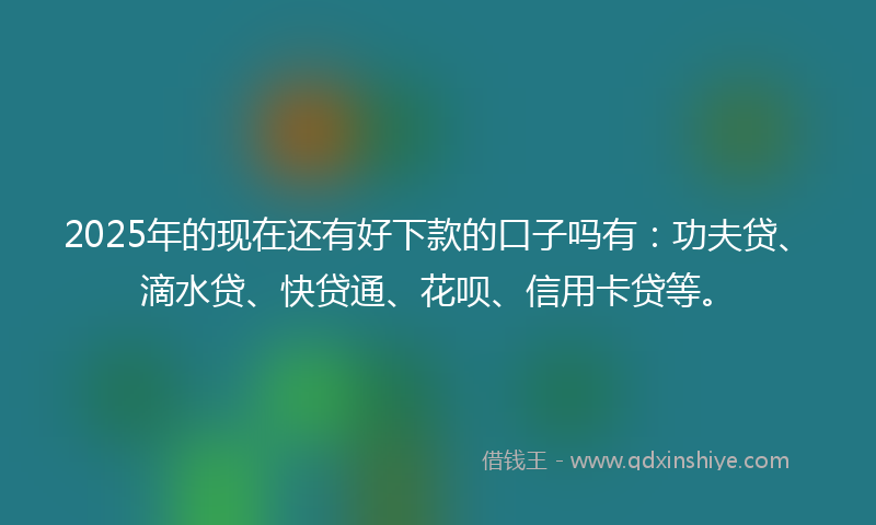 2025年的现在还有好下款的口子吗有：功夫贷、滴水贷、快贷通、花呗、信用卡贷等。