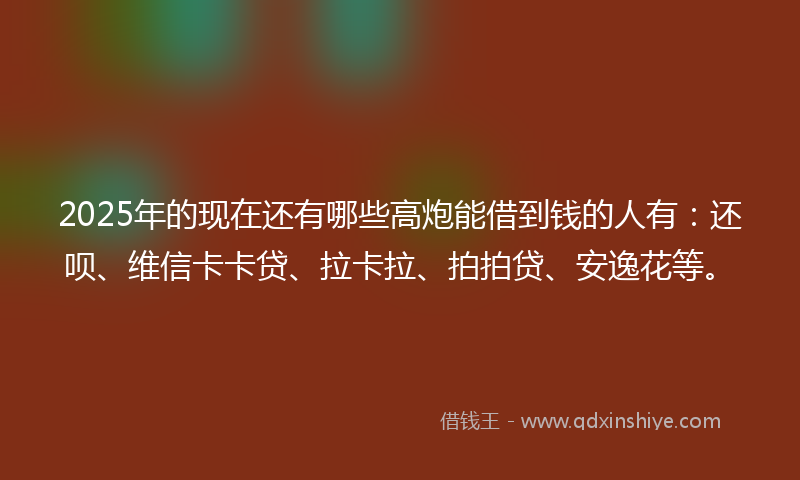 2025年的现在还有哪些高炮能借到钱的人有：还呗、维信卡卡贷、拉卡拉、拍拍贷、安逸花等。