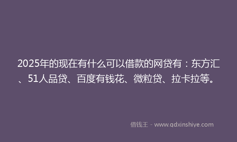 2025年的现在有什么可以借款的网贷有:东方汇、51人品贷、百度有钱花、微粒贷、拉卡拉等。