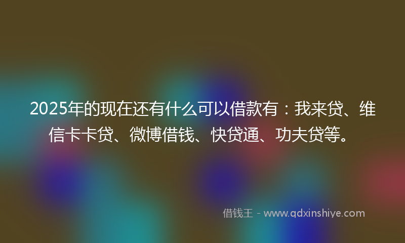 2025年的现在还有什么可以借款有：我来贷、维信卡卡贷、微博借钱、快贷通、功夫贷等。