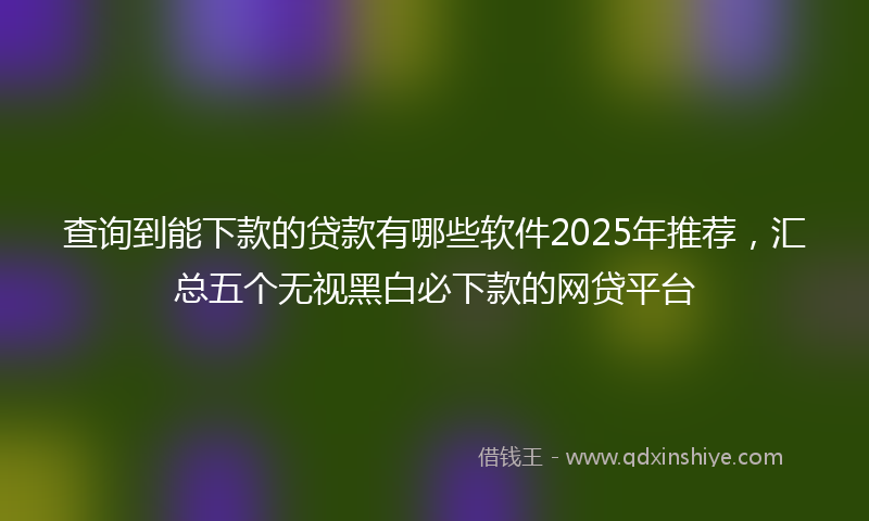 查询到能下款的贷款有哪些软件2025年推荐，汇总五个无视黑白必下款的网贷平台