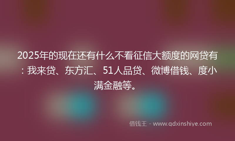 2025年的现在还有什么不看征信大额度的网贷有：我来贷、东方汇、51人品贷、微博借钱、度小满金融等。